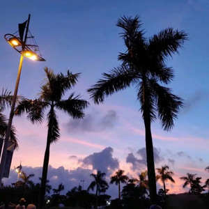 万茜被操的视频
